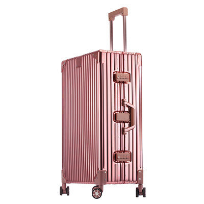 Alloy Luggage
