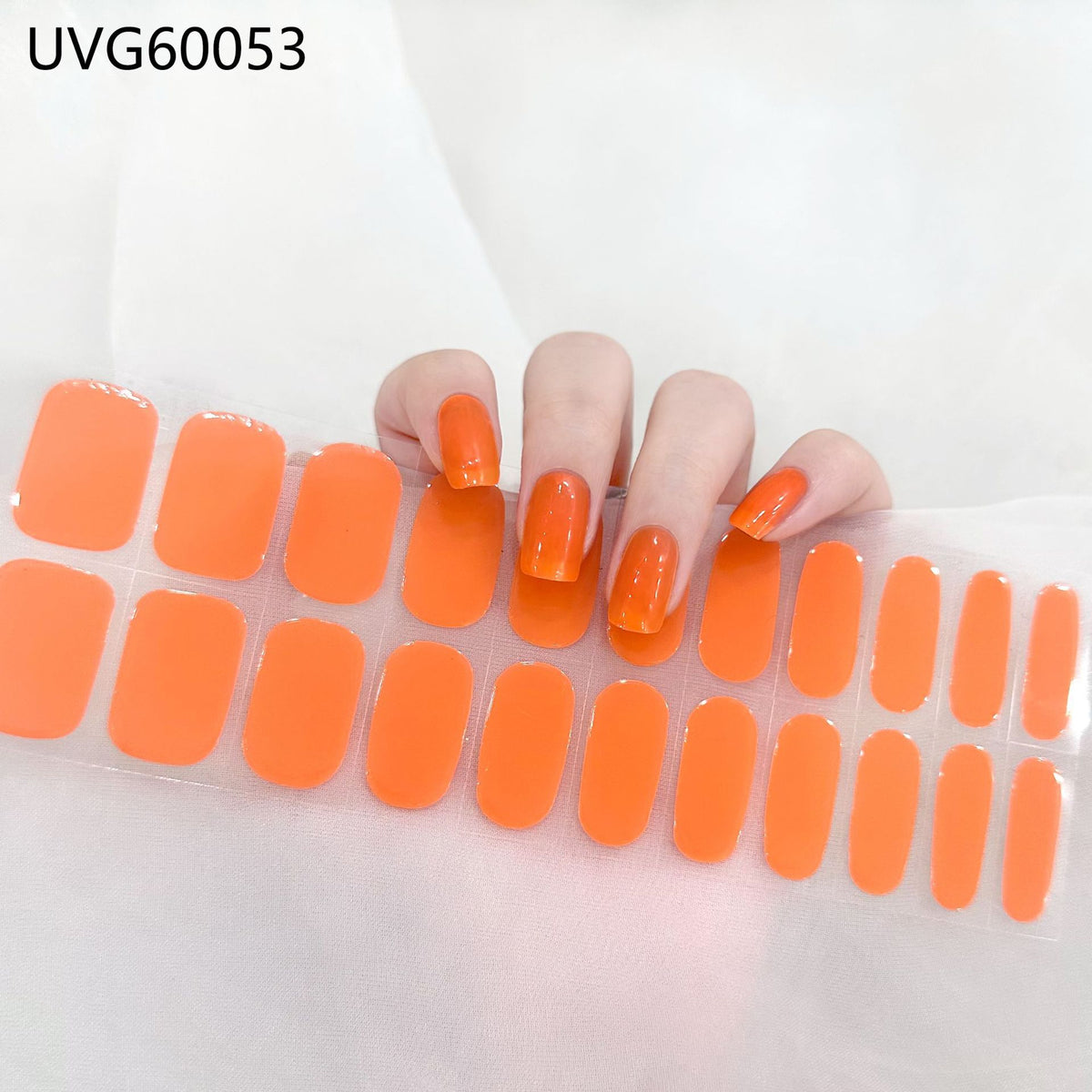 fc6e411b698c6d077ccbc351a5267cc3