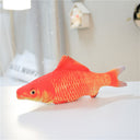  Carp